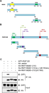 Supplementary Figure S2