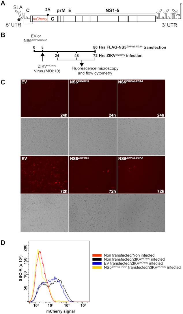 Figure 4.