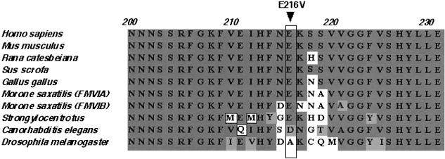 Figure  4