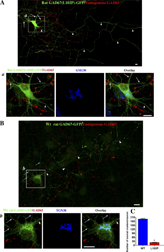 Figure 4.