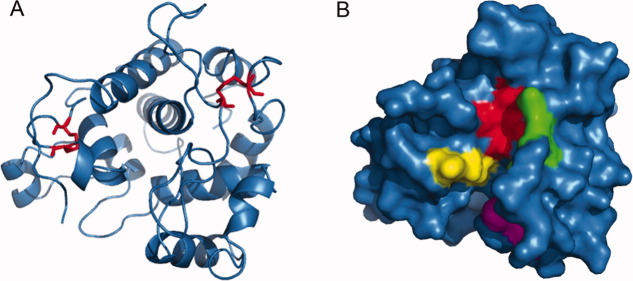 Figure 10