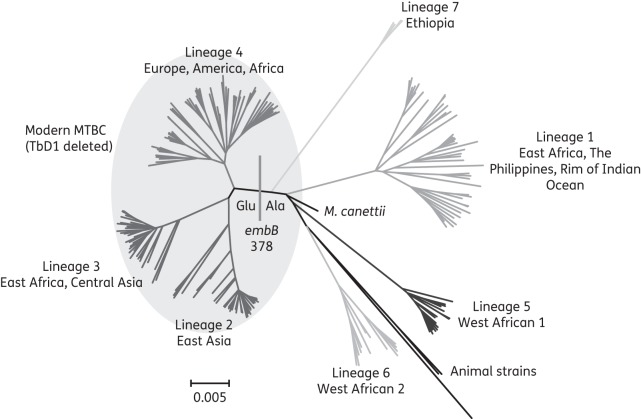 Figure 1.