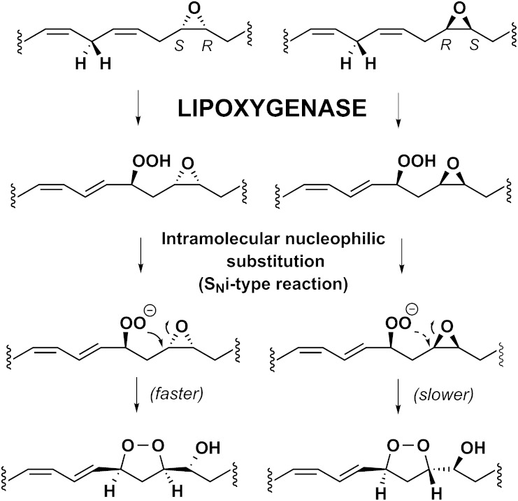 Scheme 4.