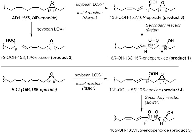 Scheme 1.