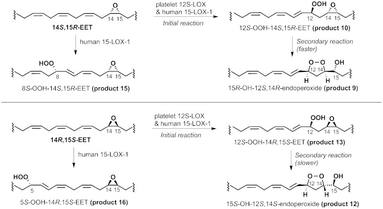 Scheme 2.