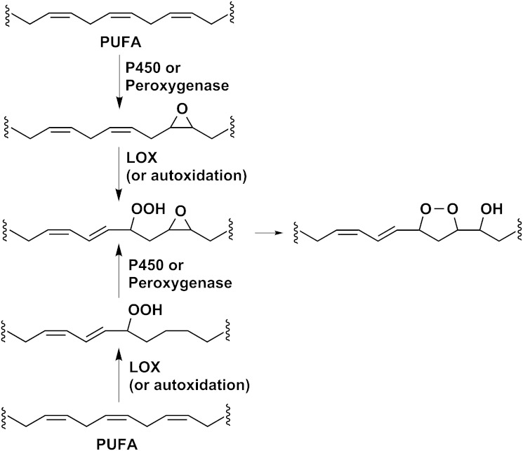 Scheme 3.