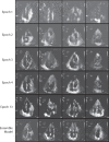 Fig. 10