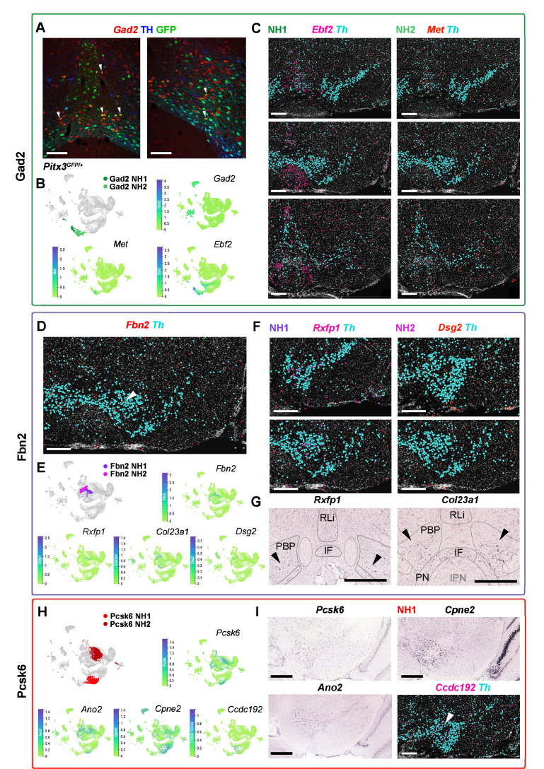 Figure 4—figure supplement 3.