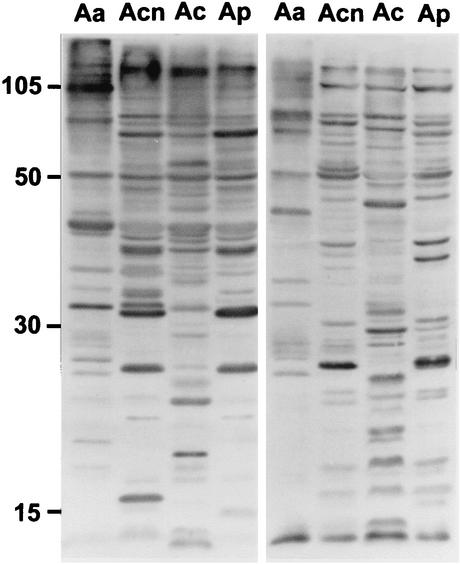 FIG. 12.