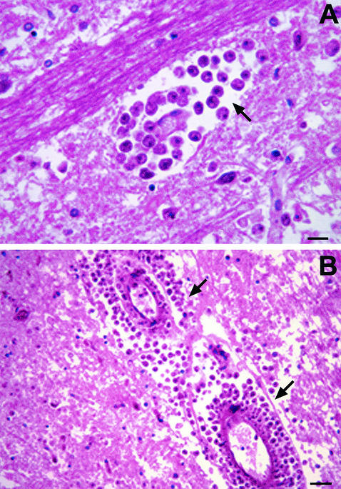 FIG. 7.