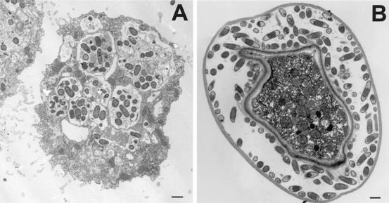 FIG. 20.