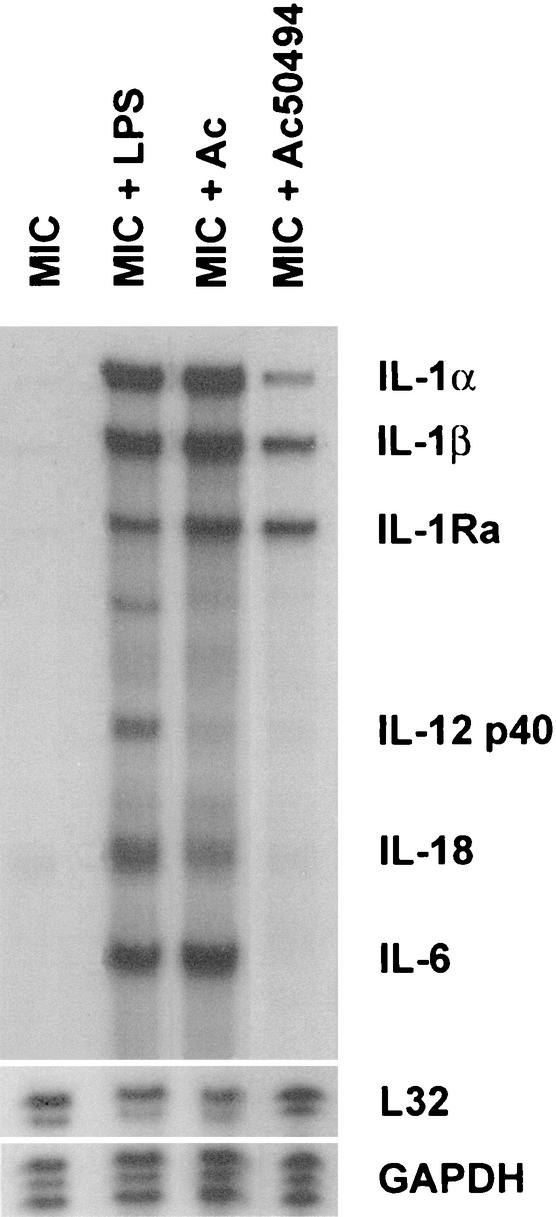 FIG. 16.