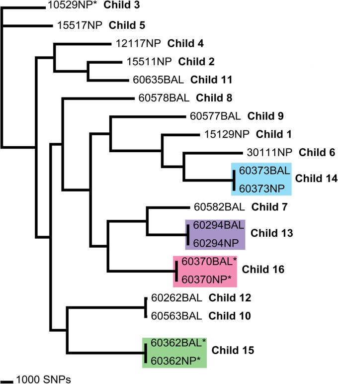 FIG 1