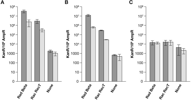 FIG 2 