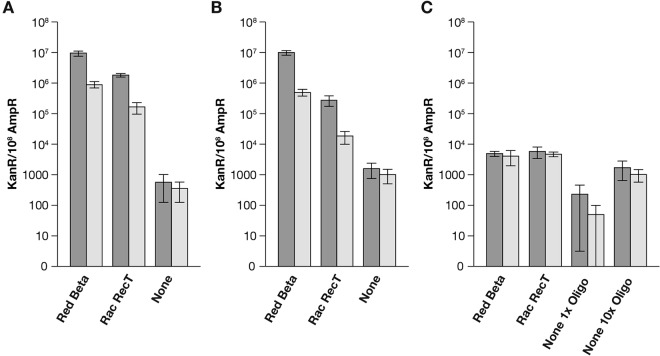 FIG 3 