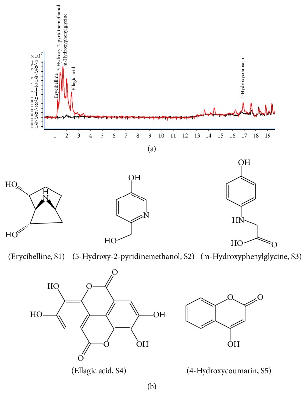 Figure 5