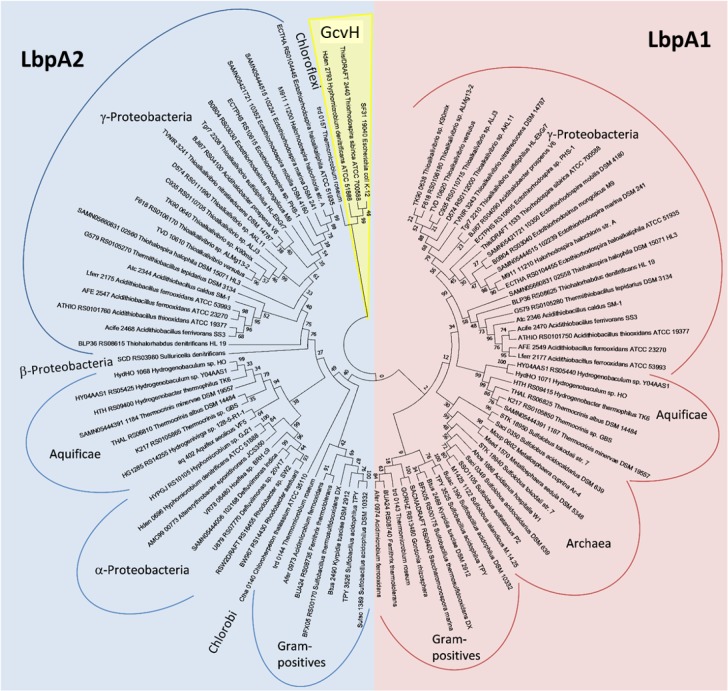 Figure 3—figure supplement 1.