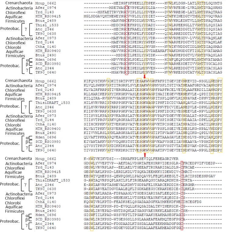 Figure 2—figure supplement 1.