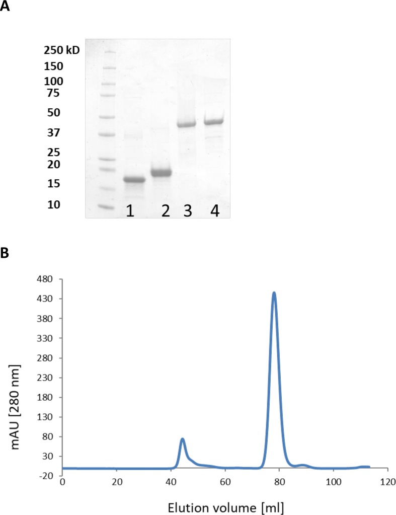 Figure 4—figure supplement 1.