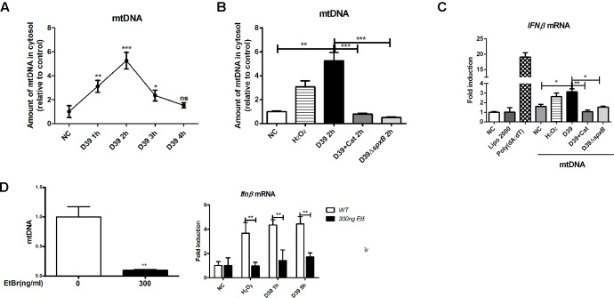 FIGURE 4