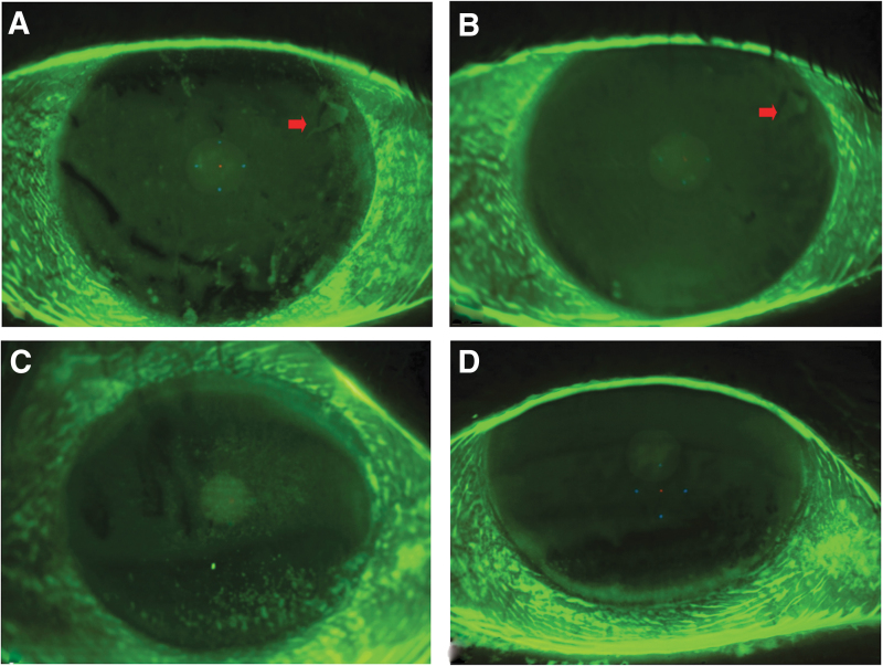 FIG. 1.