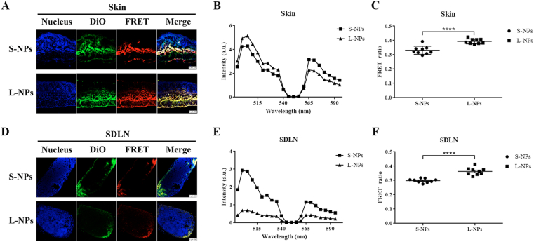 Figure 4