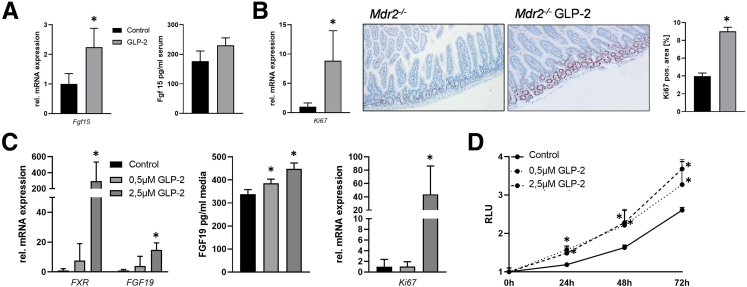 Figure 6