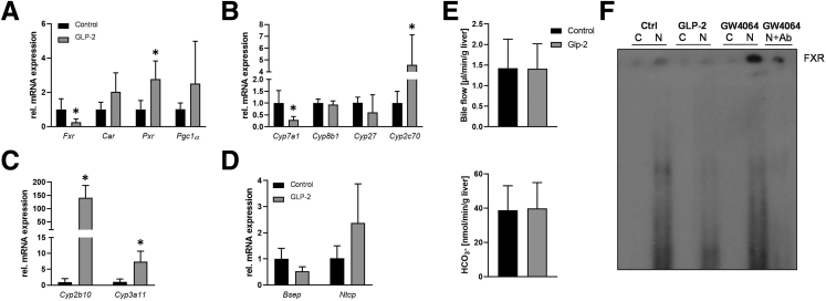 Figure 5