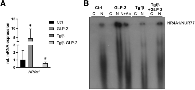 Figure 4