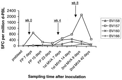 FIG. 4.