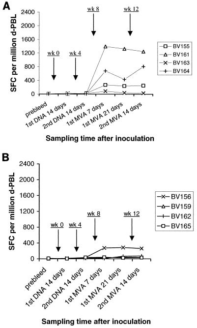 FIG. 3.