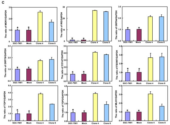 Figure 5