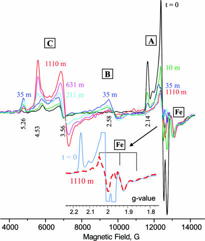 Fig. 2.