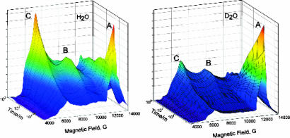 Fig. 4.