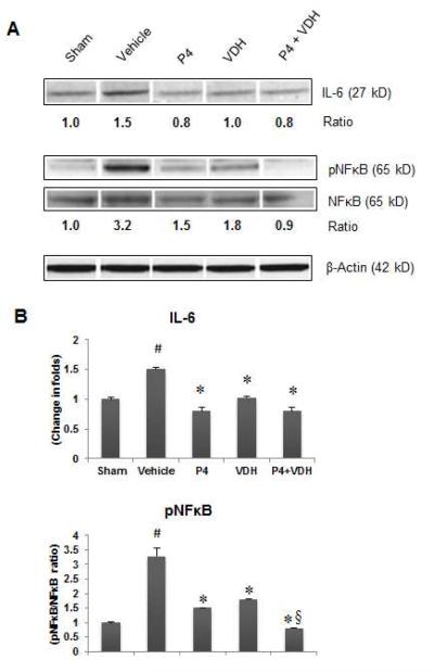 Fig. 5