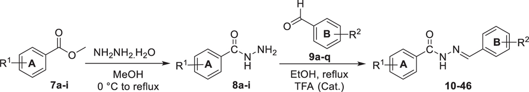 Scheme 1.