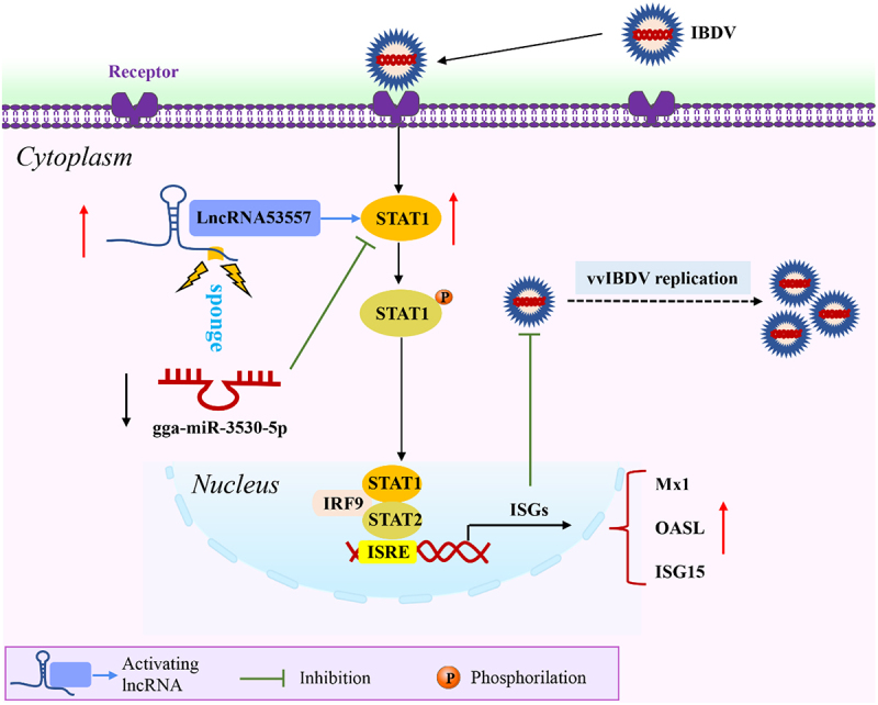 Figure 12.