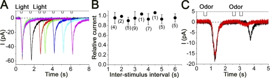 Figure 9.