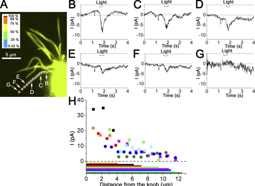 Figure 10.