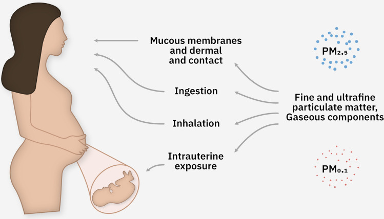 Fig. 2