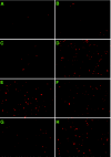 FIG. 7.