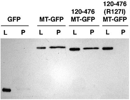 FIG. 8.