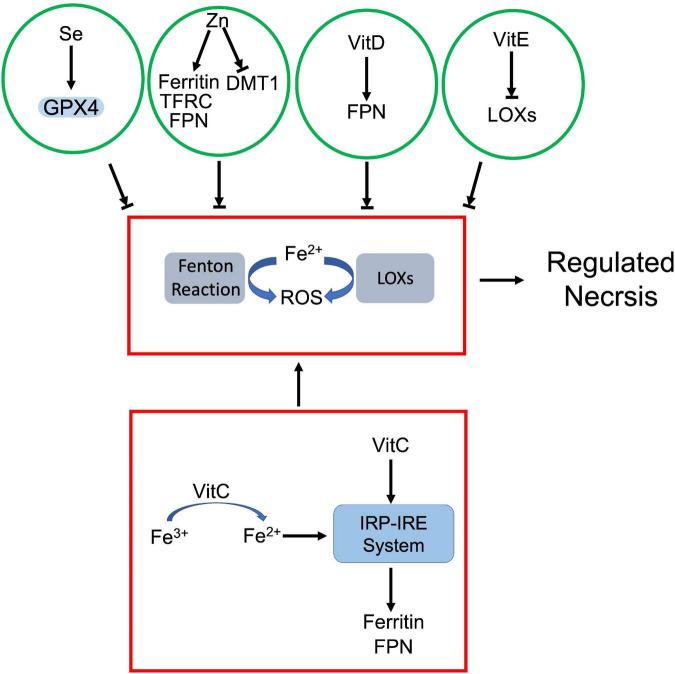 FIGURE 6