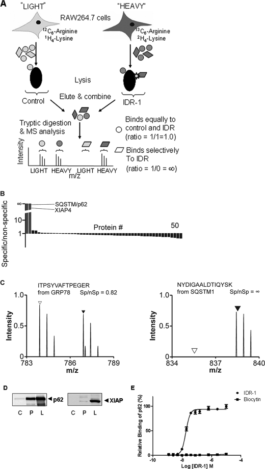 FIGURE 1.