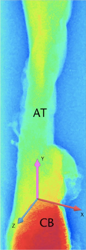Fig. 1