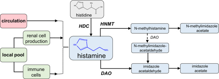 FIGURE 1