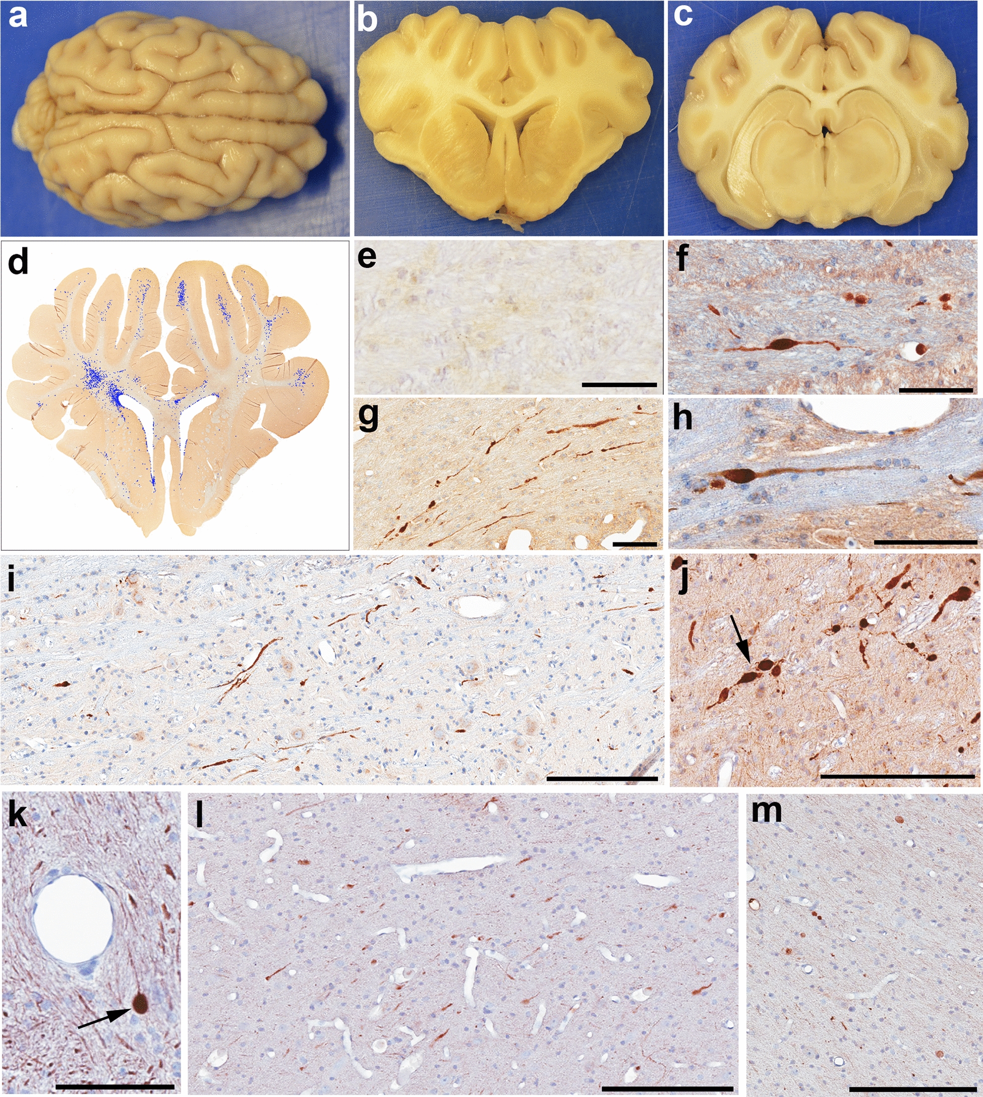 Fig. 3