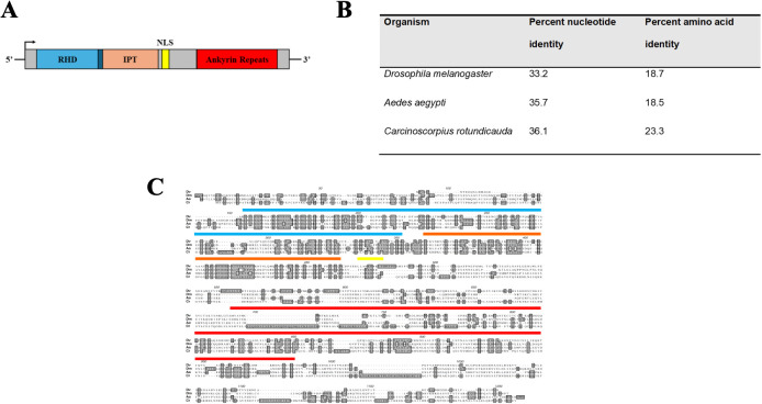 Figure 1