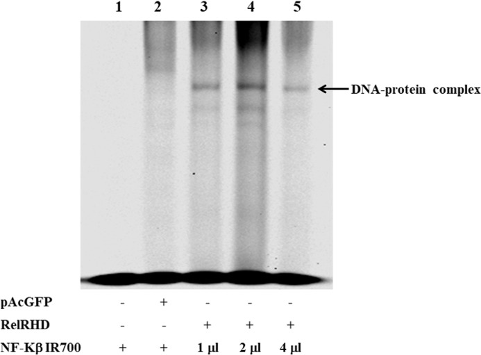 Figure 4