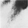 362
